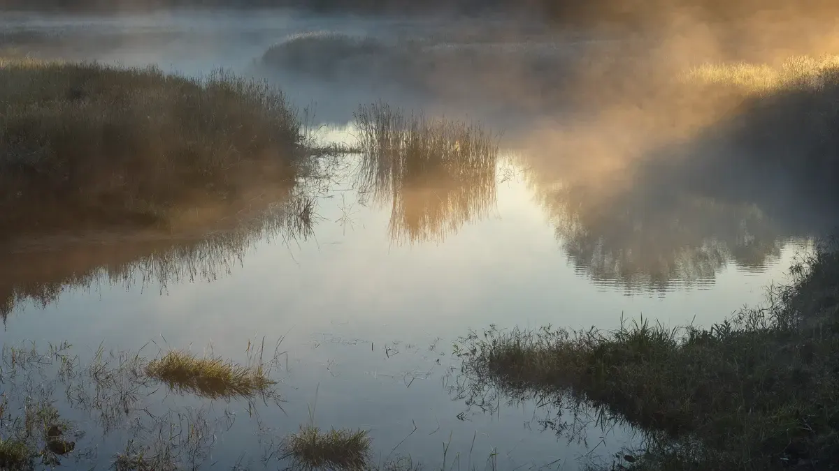 Rio calmo ao amanhecer com raios de sol atravessando a névoa